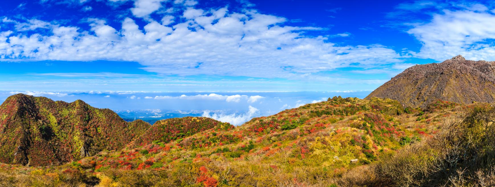 季節のおすすめ（秋冬）※県南