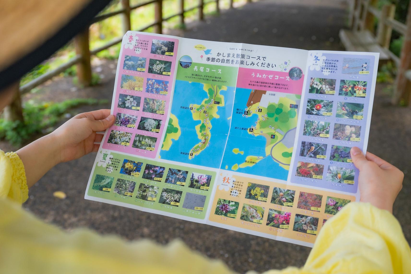 散策のお供に長尾半島公園の地図を手に入れよう！-0