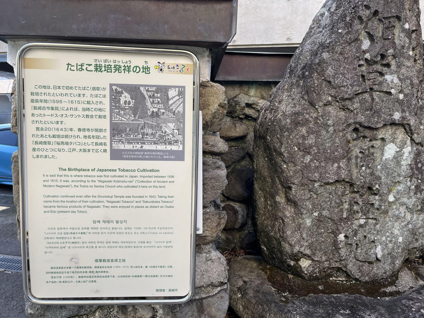 1596｜たばこ栽培発祥の地（春徳寺の近く）-2