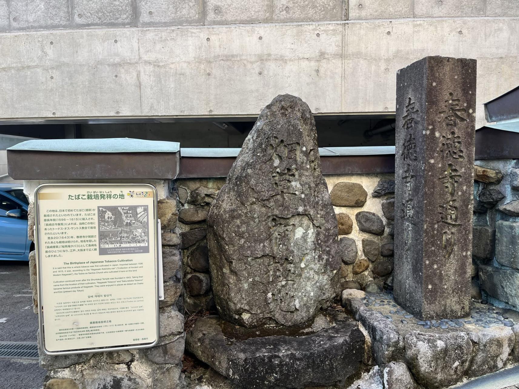 1596｜たばこ栽培発祥の地（春徳寺の近く）-1