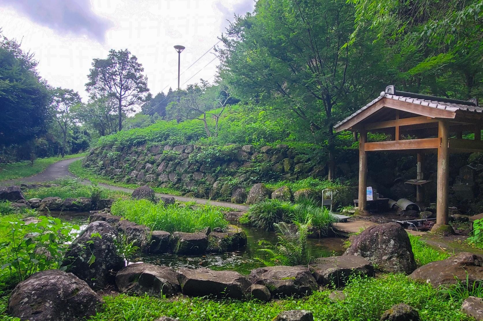 ５．生き物も喜ぶ湧水公園！有馬湧水　ホタルの里（南島原）-0