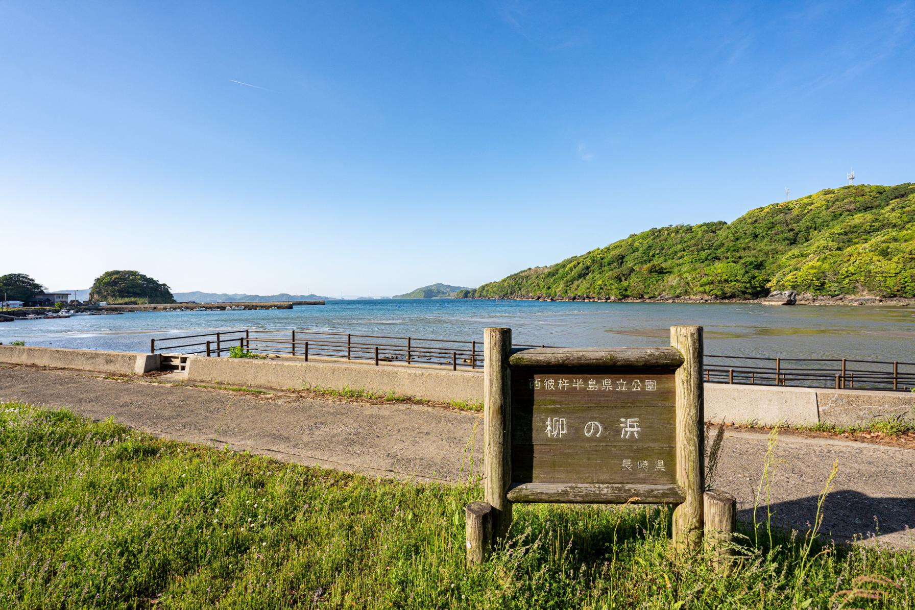 みなのもの、柳の浜海浜公園に集え！-0