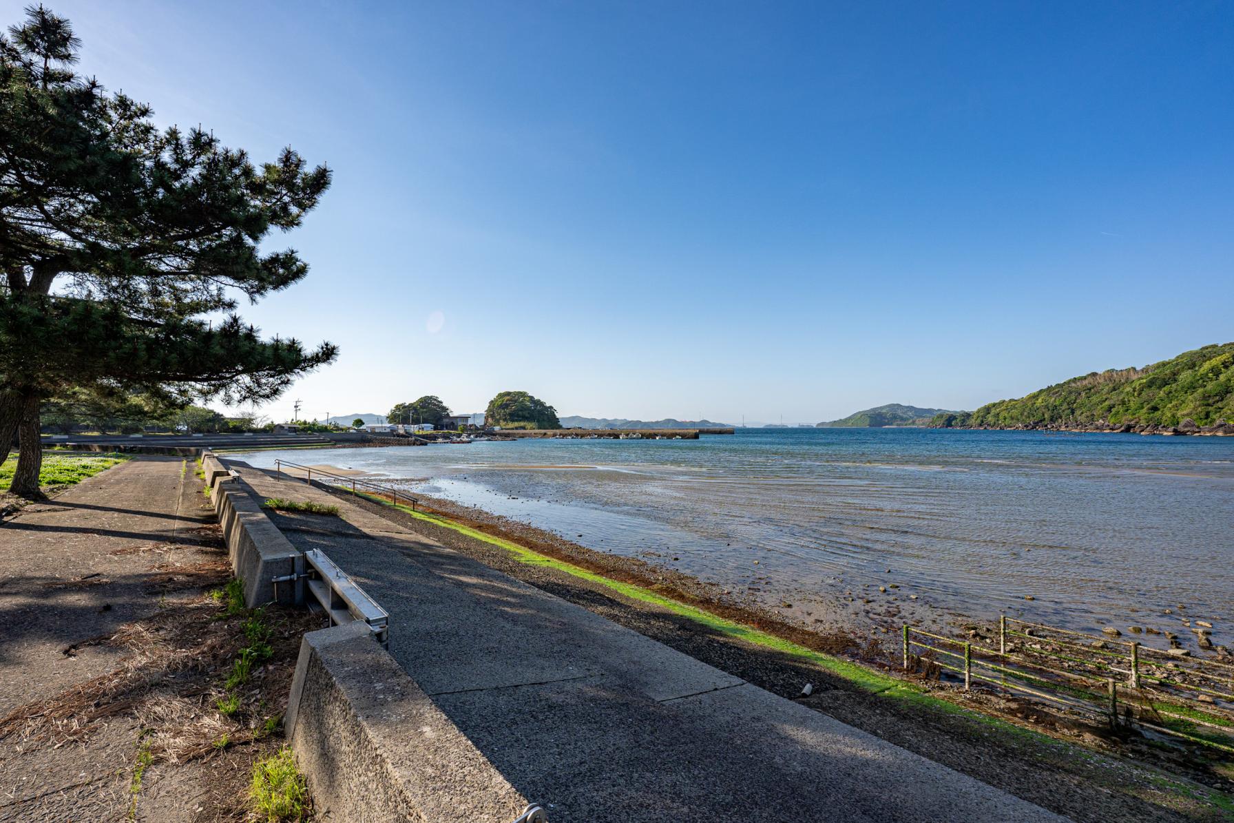 みなのもの、柳の浜海浜公園に集え！-1