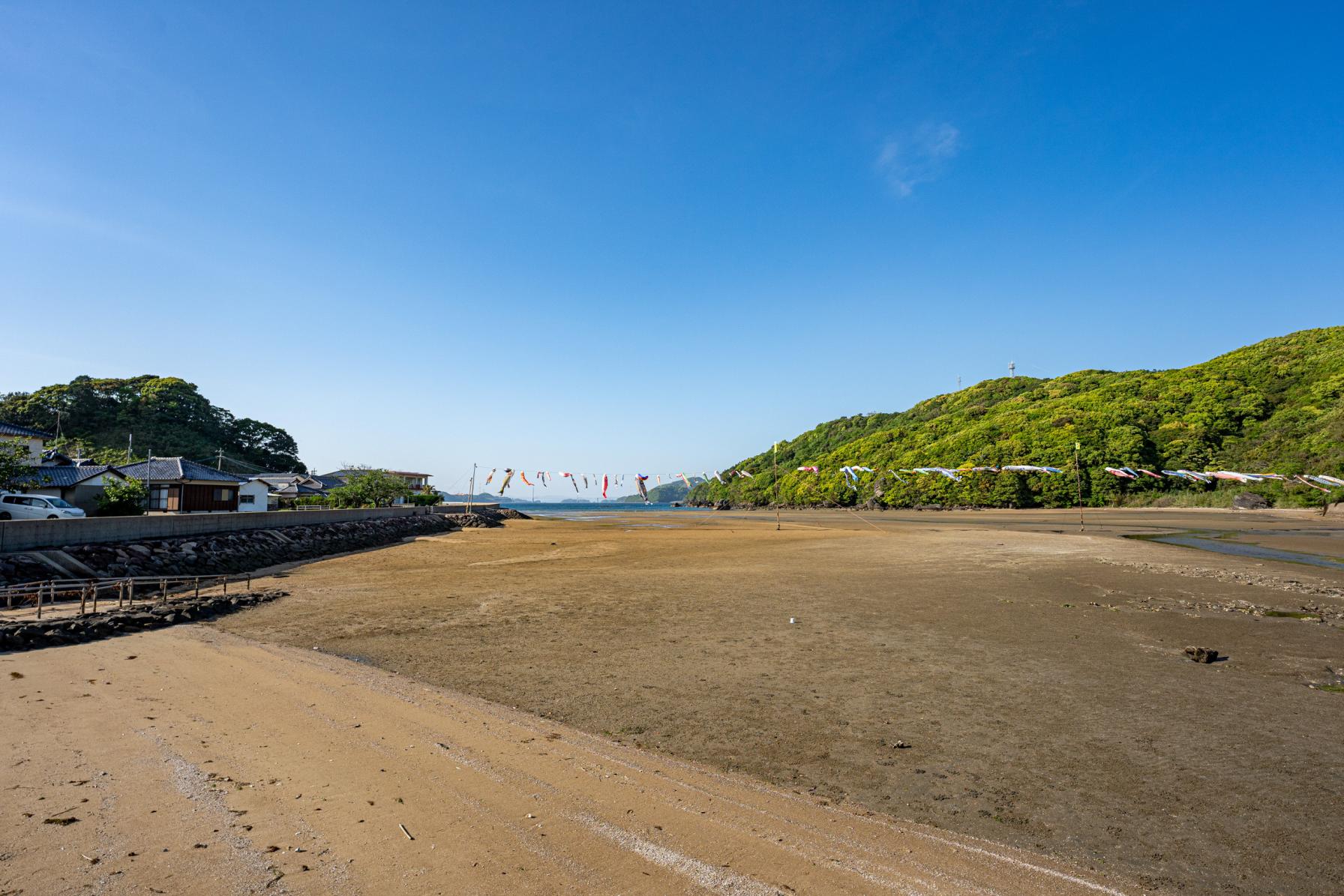 柳の浜海浜公園のあれこれ！-0