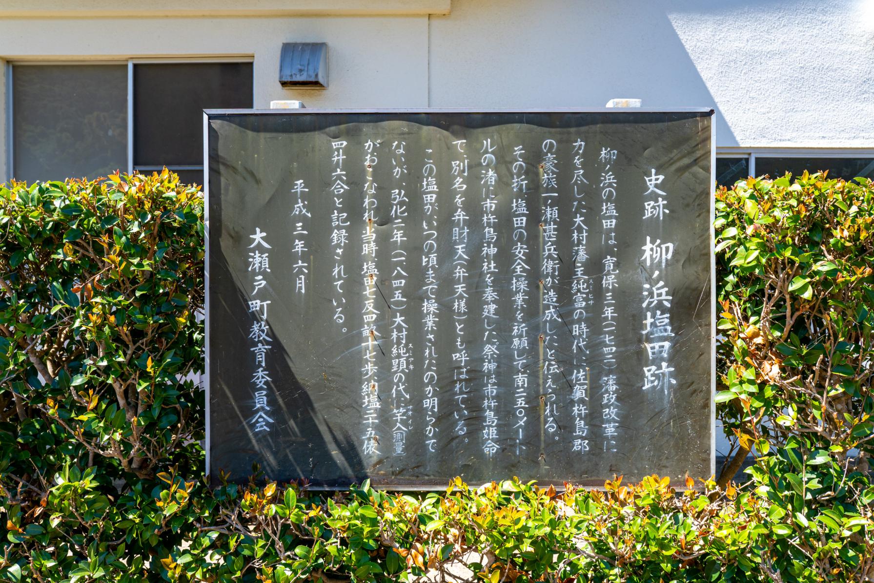 柳の浜海浜公園のあれこれ！-1