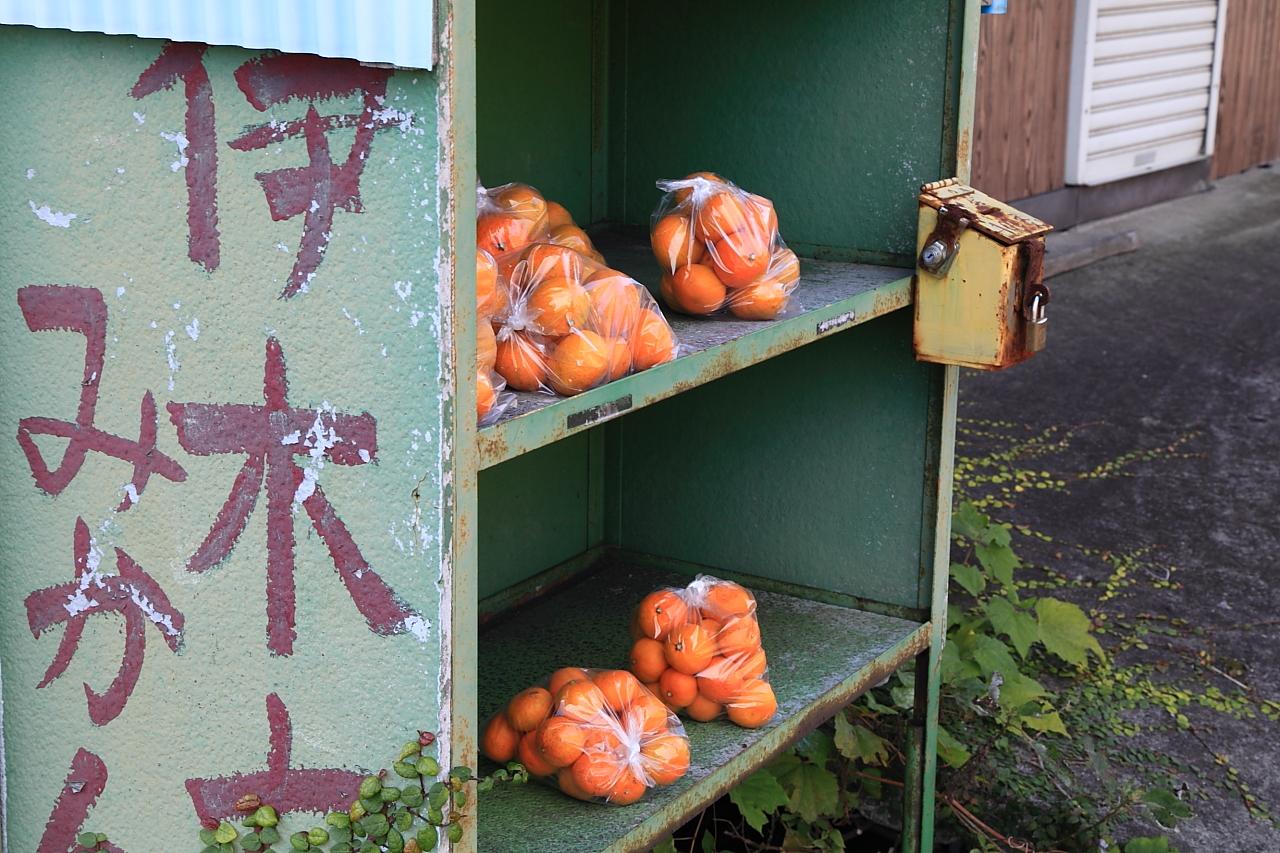 冬の風物詩 「伊木力みかん無人販売所」-1