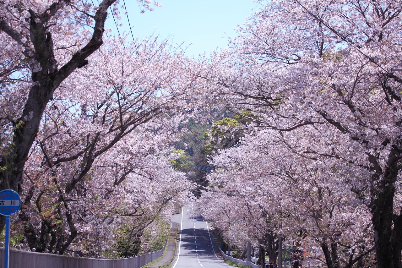 【昭和やったね】多良見町大草の古川バス停周辺-0