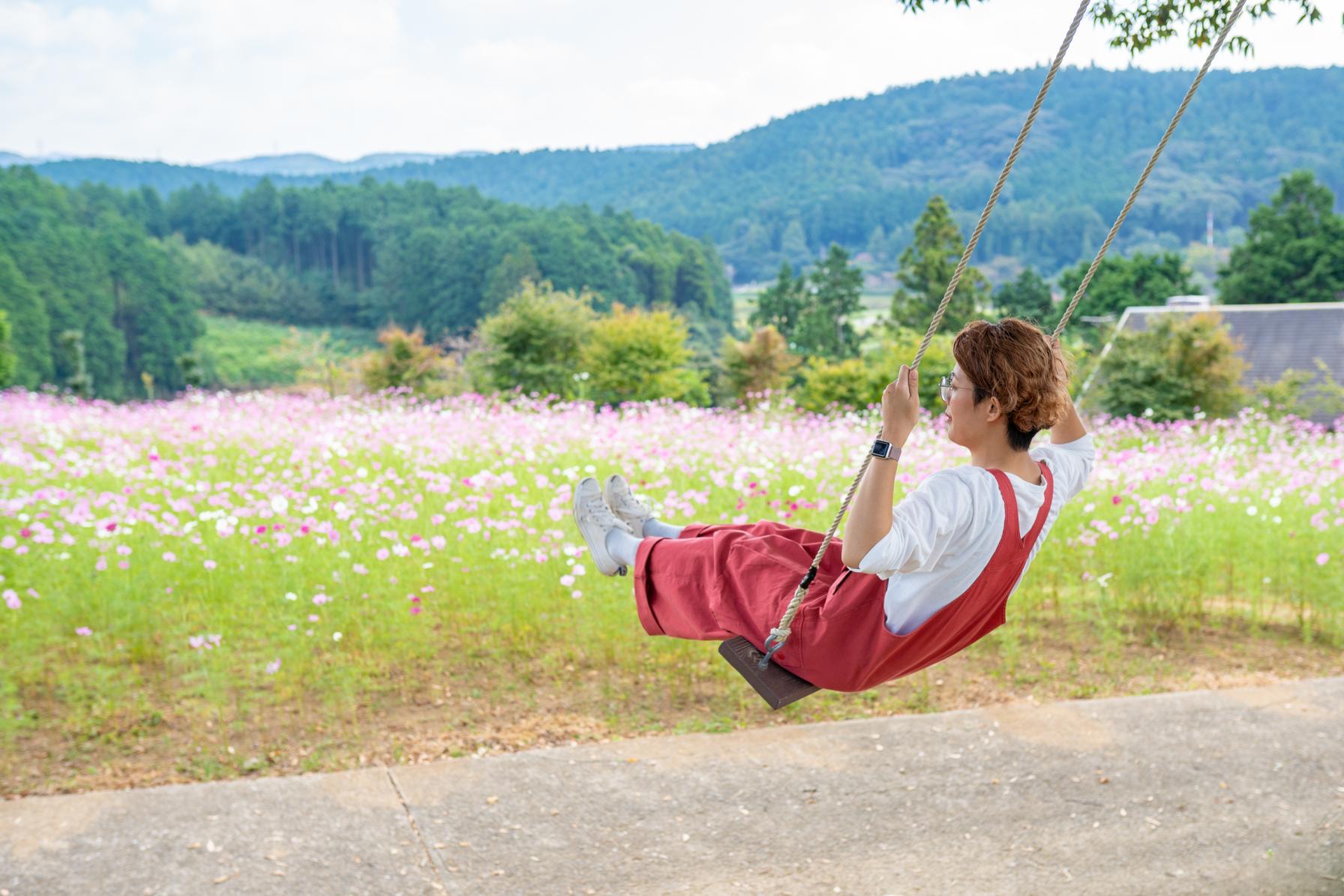 花畑に飛び込むようなブランコ写真が撮れる-1