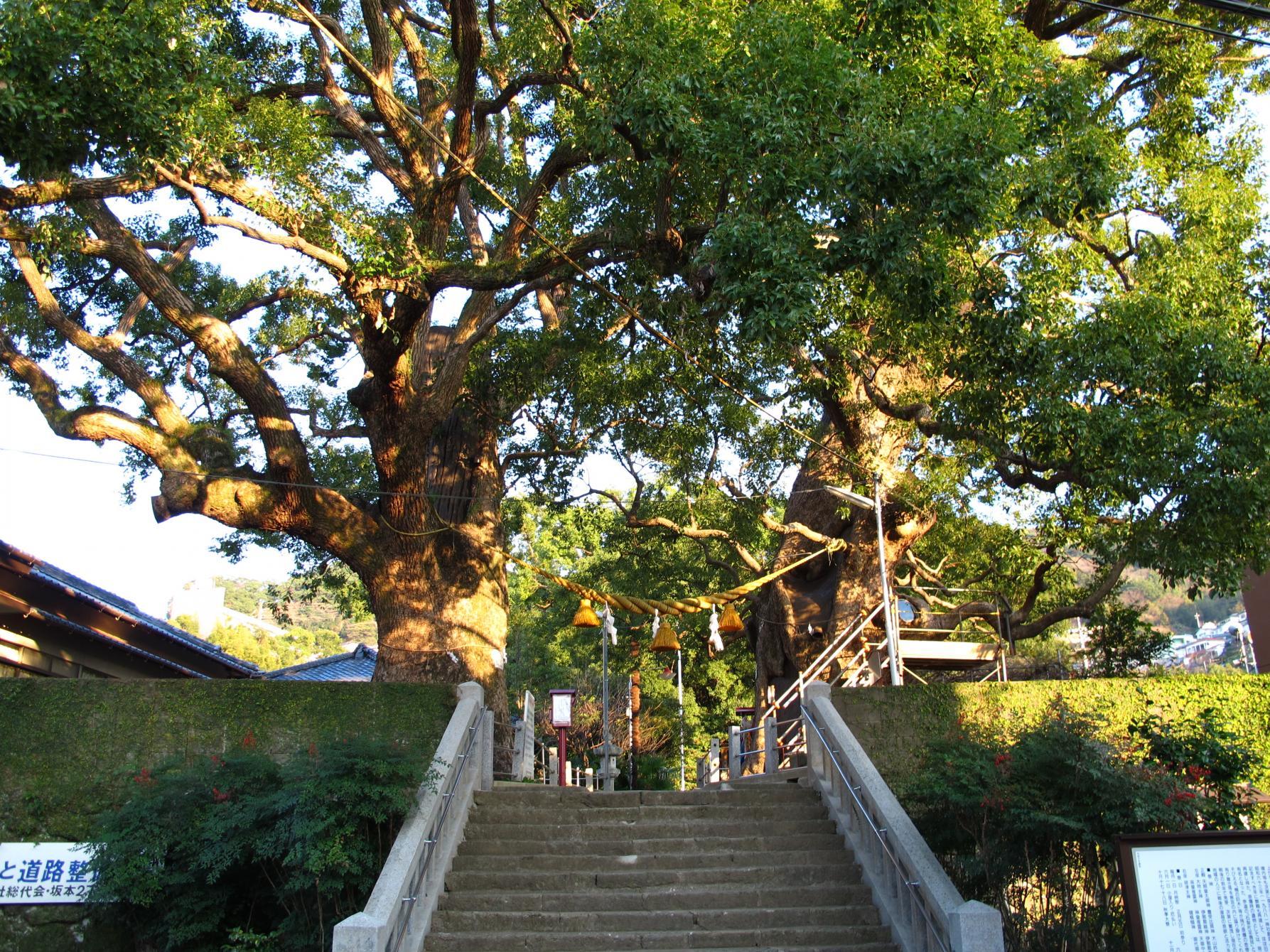 山王神社（被爆クスノキ）