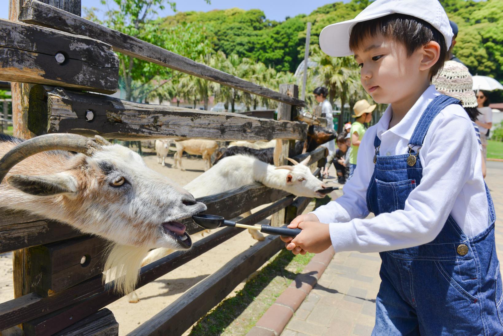 九十九島動植物園森きらら-1