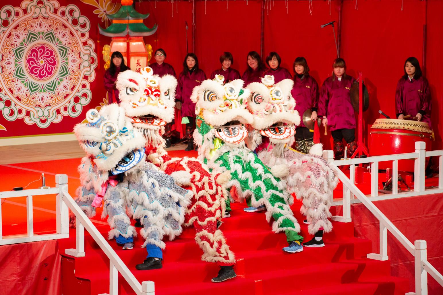 Chinese Lion Dances-1