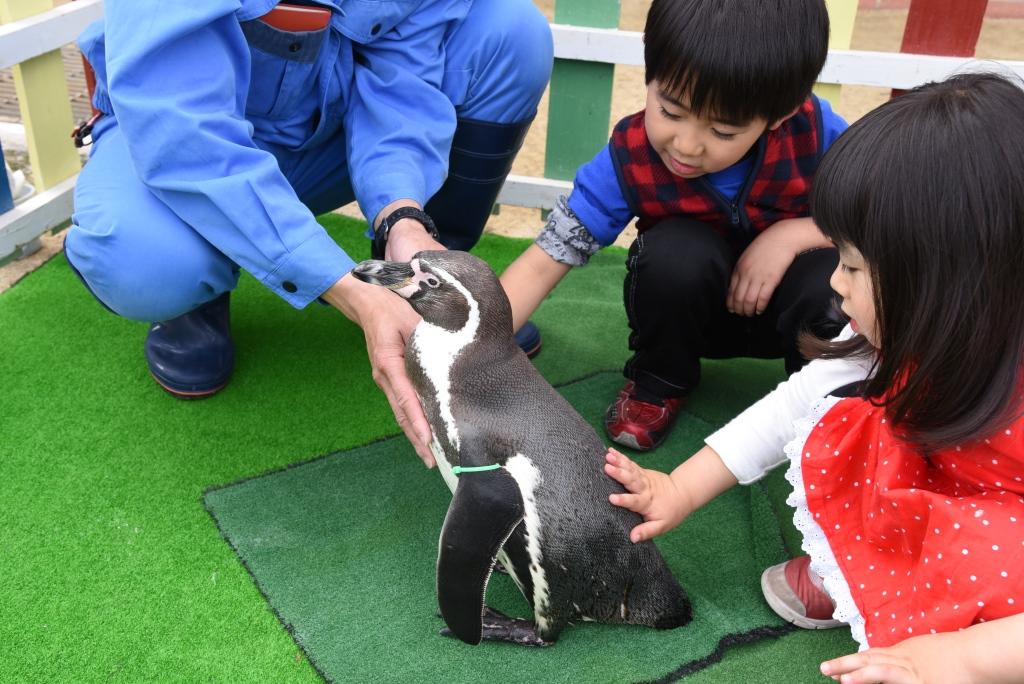 長崎ペンギン水族館-0