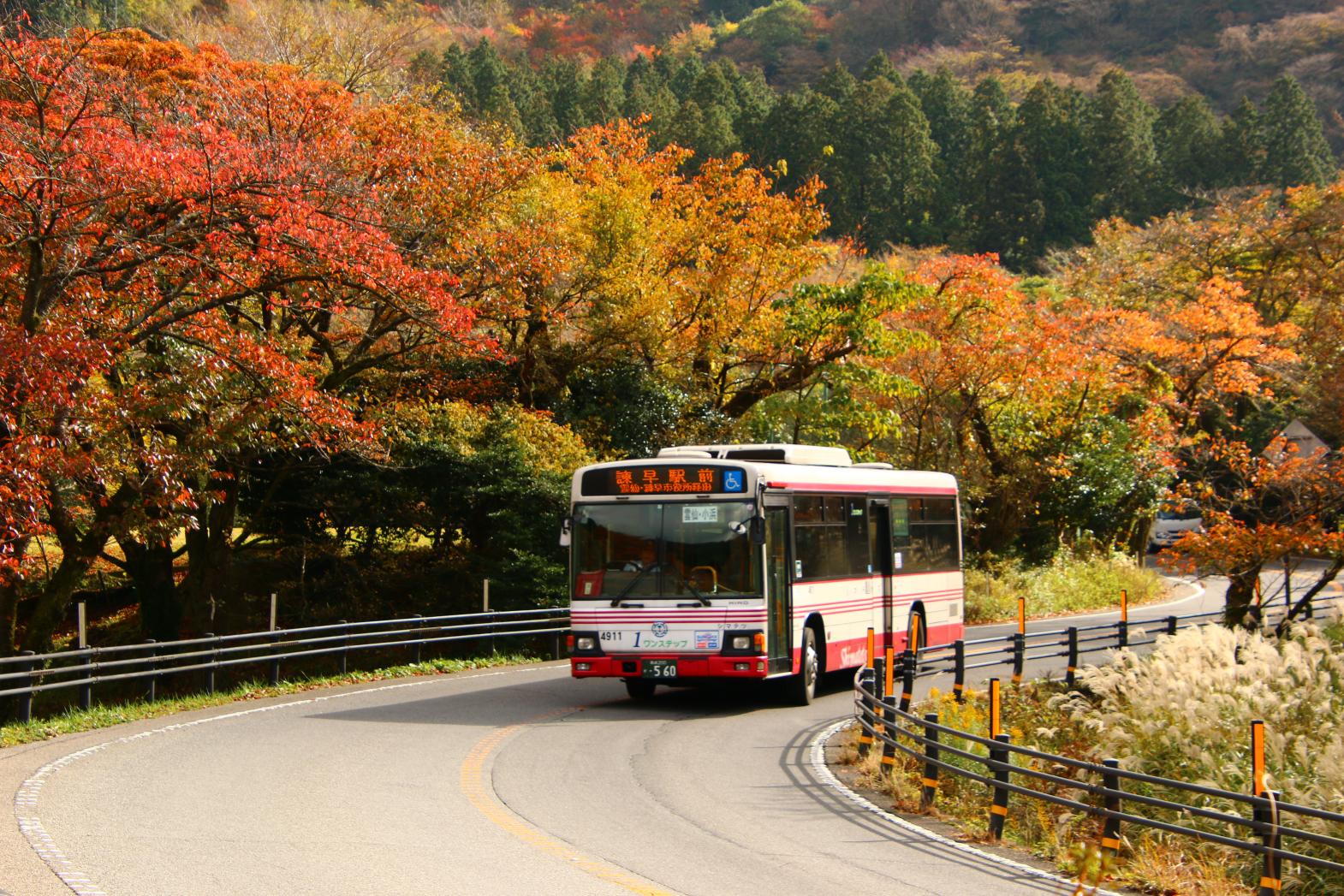 Shimatetsu Free Pass, Shimabara Peninsula-1