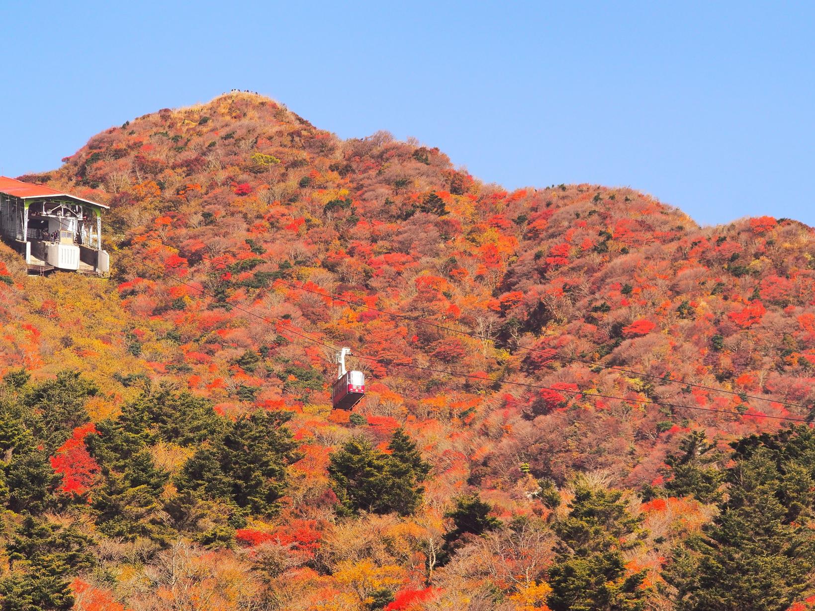 人気の紅葉スポットで秋の絶景を満喫-1