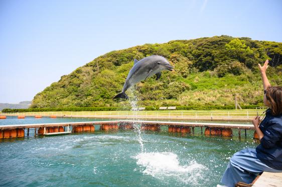 壹岐海豚公園-0