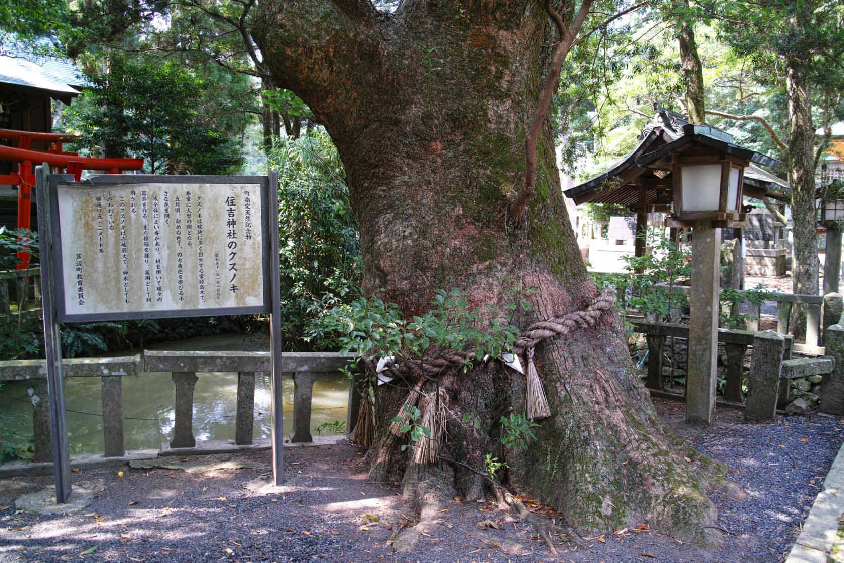 住吉神社-3