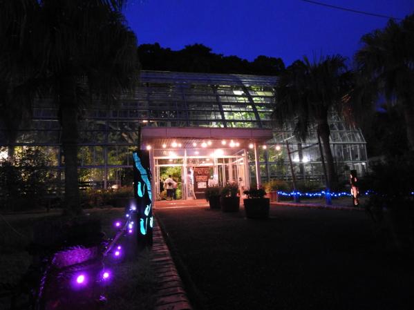 【九十九島動植物園森きらら】竹灯りともる夜の森きらら-2