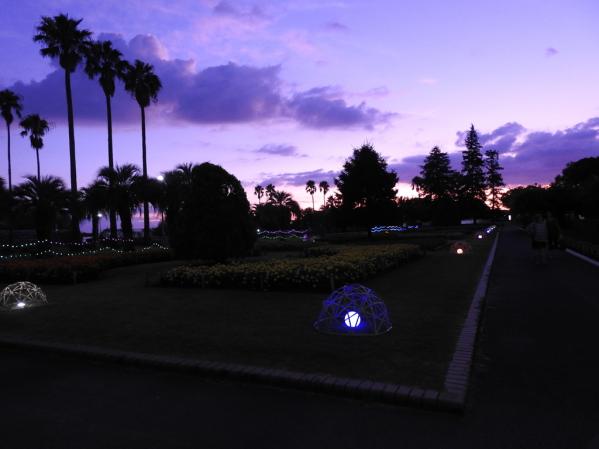 【九十九島動植物園森きらら】竹灯りともる夜の森きらら-1