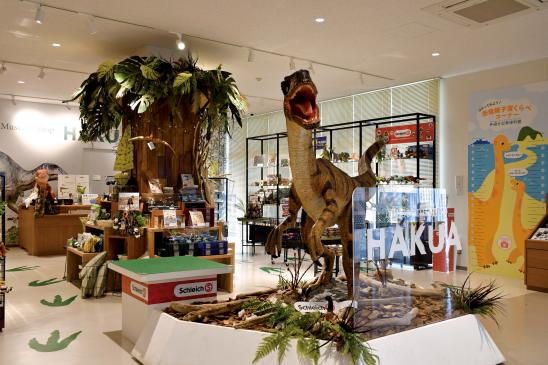 Nagasaki City Dinosaur Museum-9