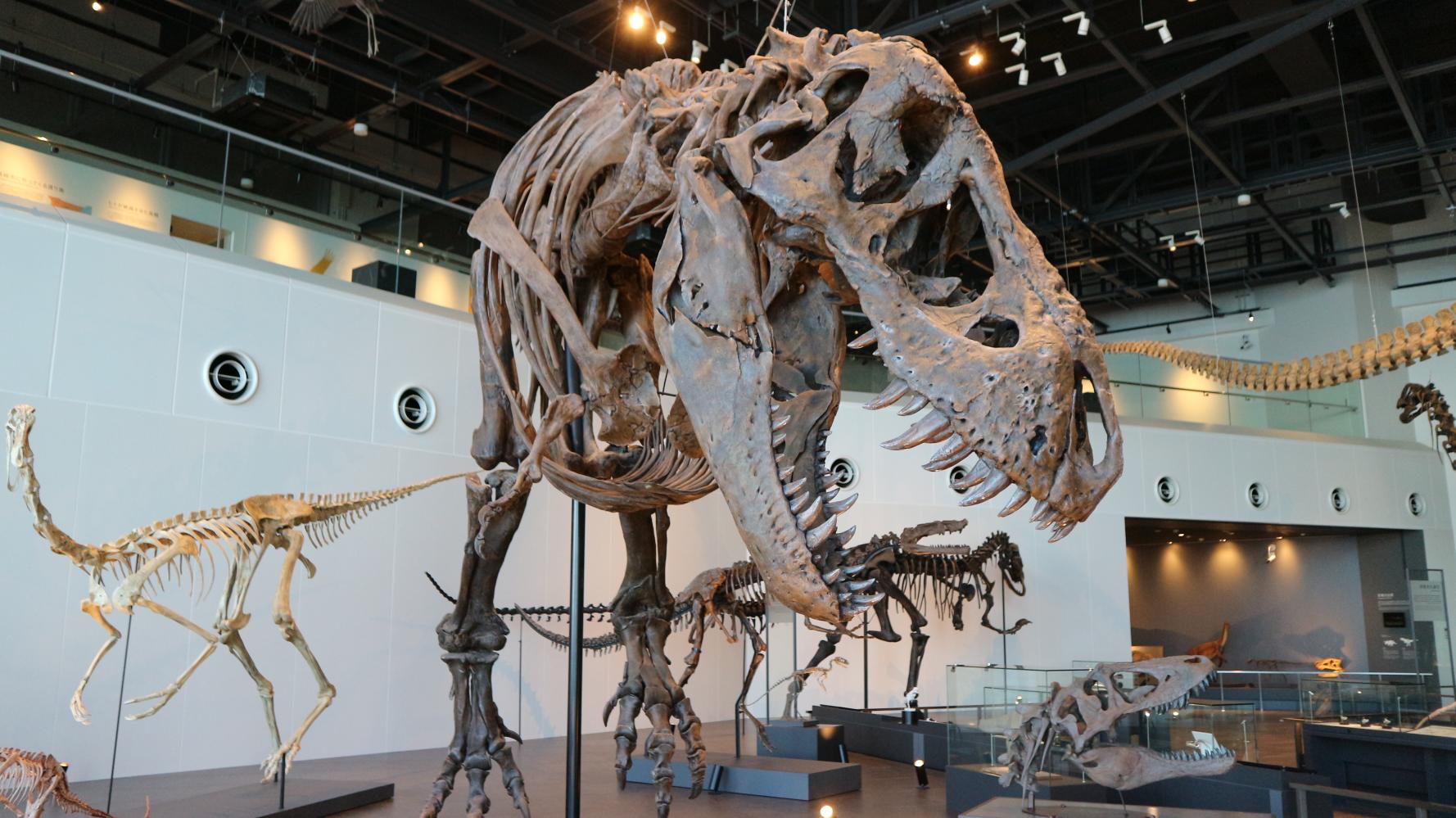 나가사키시 공룡 박물관-1