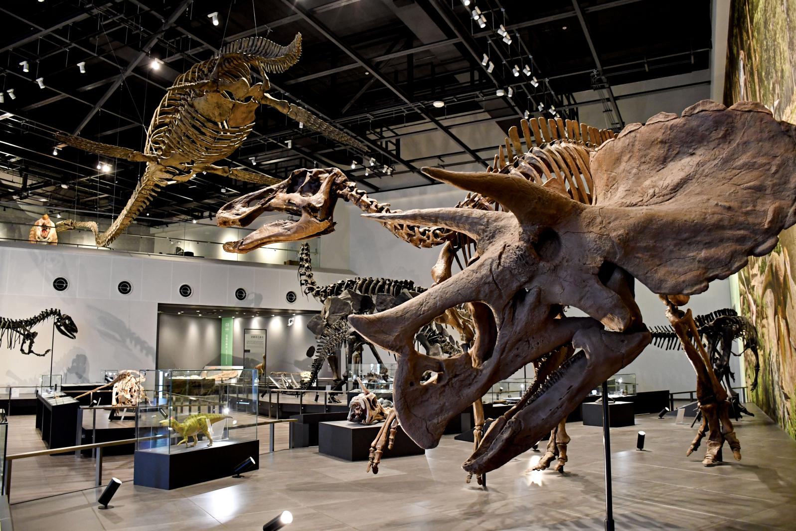 ベネックス恐竜博物館-3