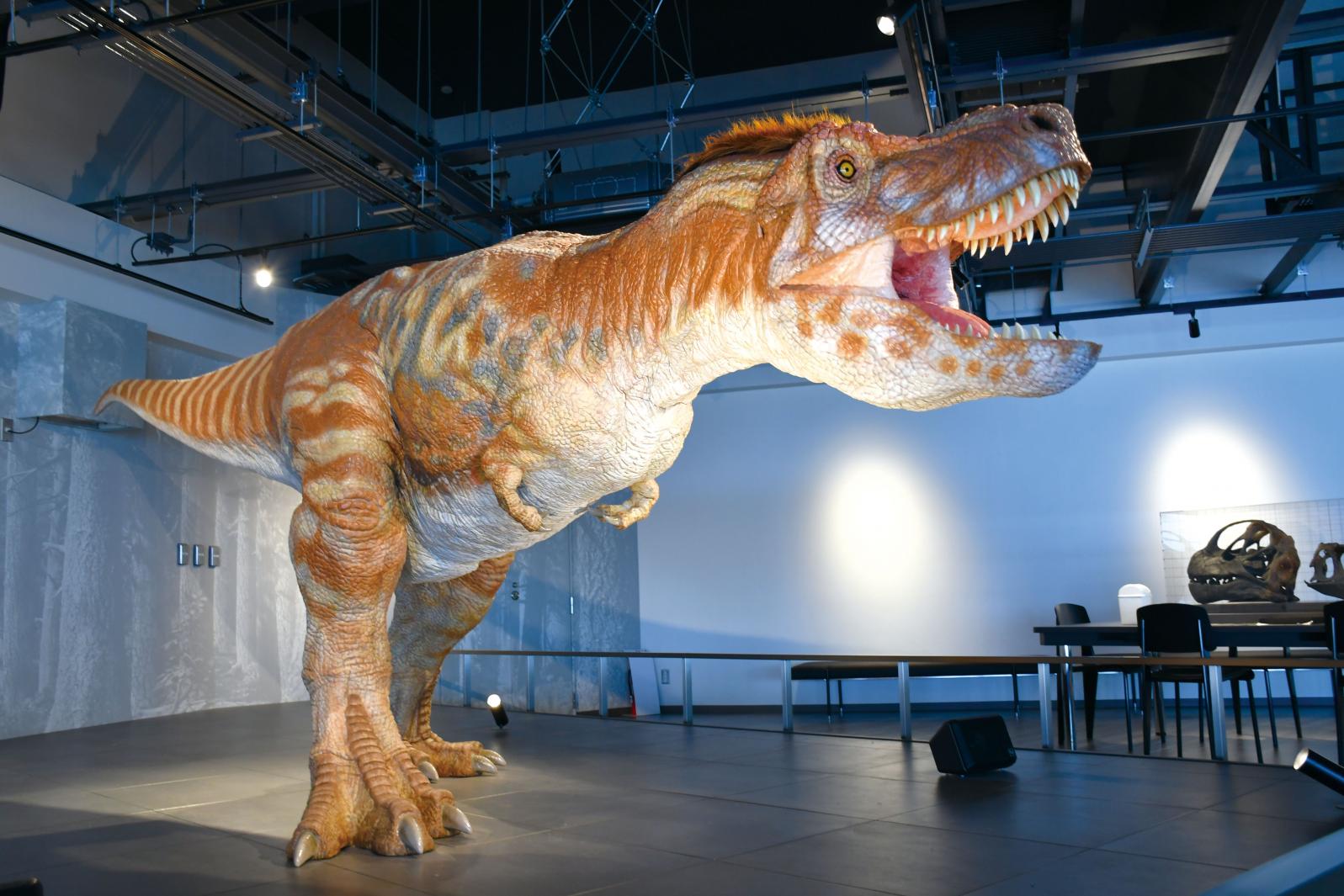 ベネックス恐竜博物館-6