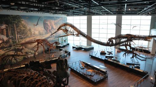 ベネックス恐竜博物館-7