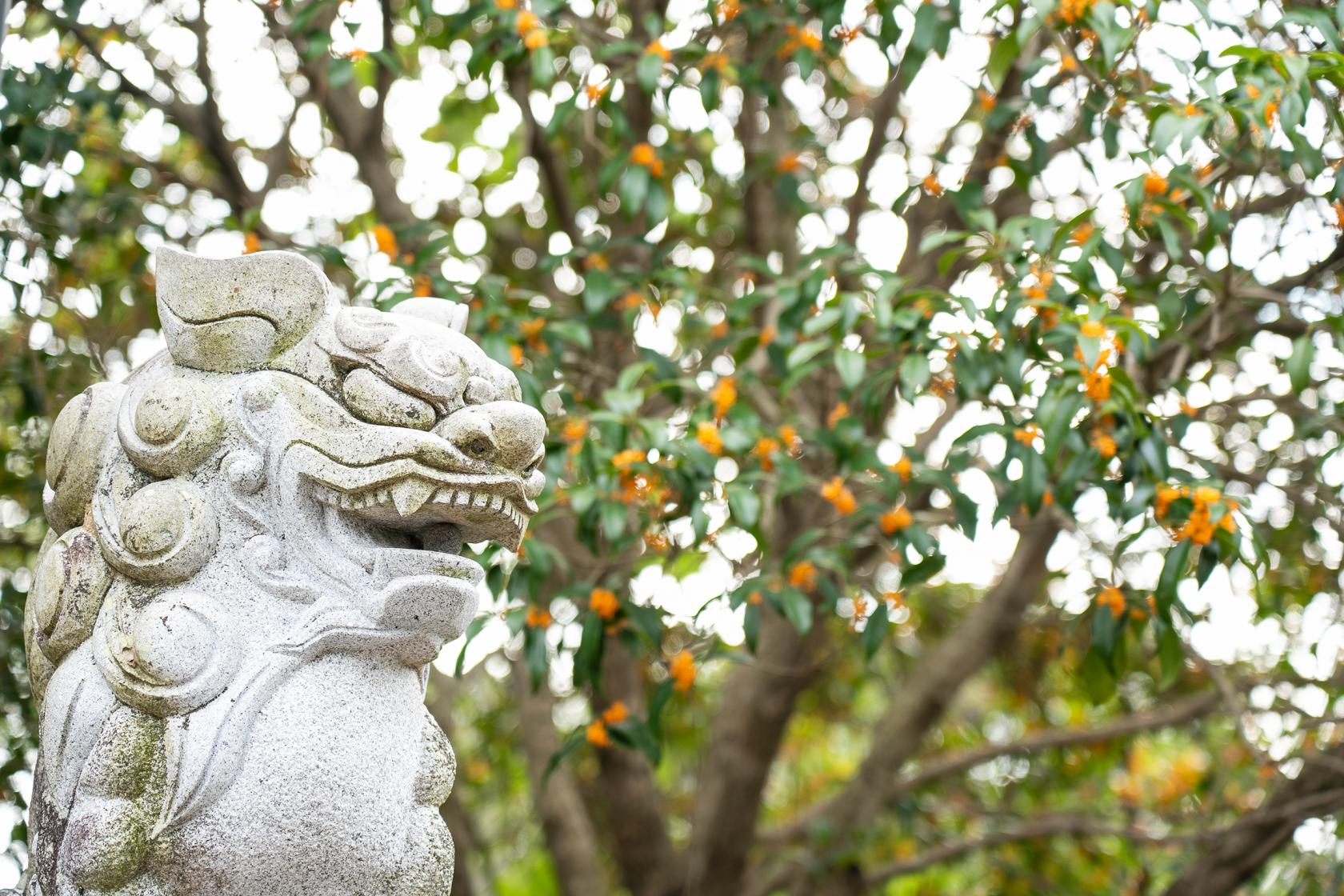 白岳神社-2