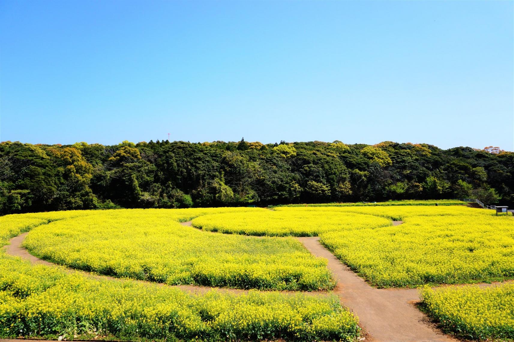 덴카이호 봉우리 (展海峰)-1