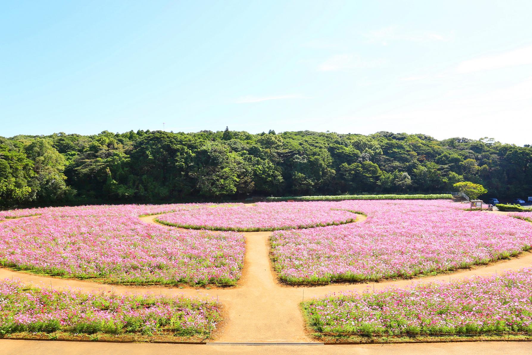 덴카이호 봉우리 (展海峰)-1