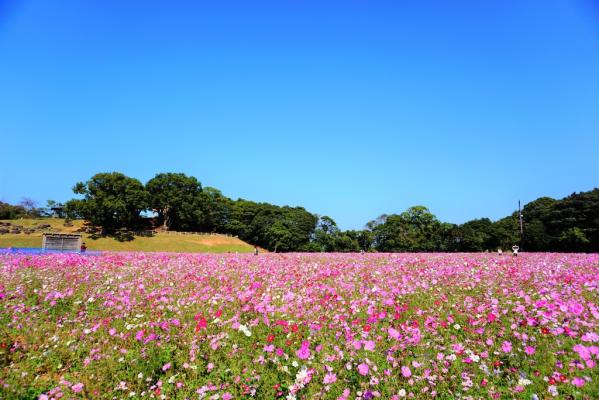 덴카이호 봉우리 (展海峰)-1