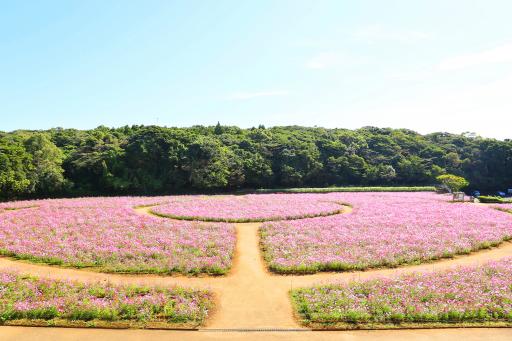 덴카이호 봉우리 (展海峰)-0