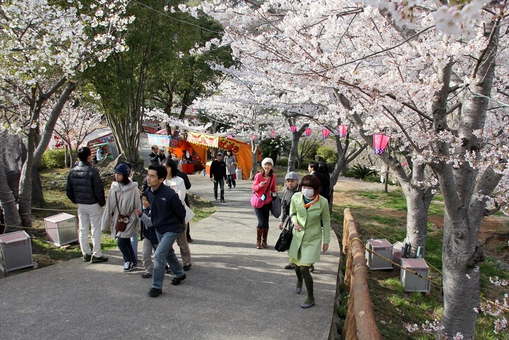 立山公園さくらまつり イベント 公式 長崎観光 旅行ポータルサイト ながさき旅ネット