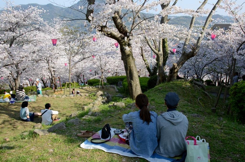 立山公園さくらまつり イベント 公式 長崎観光 旅行ポータルサイト ながさき旅ネット