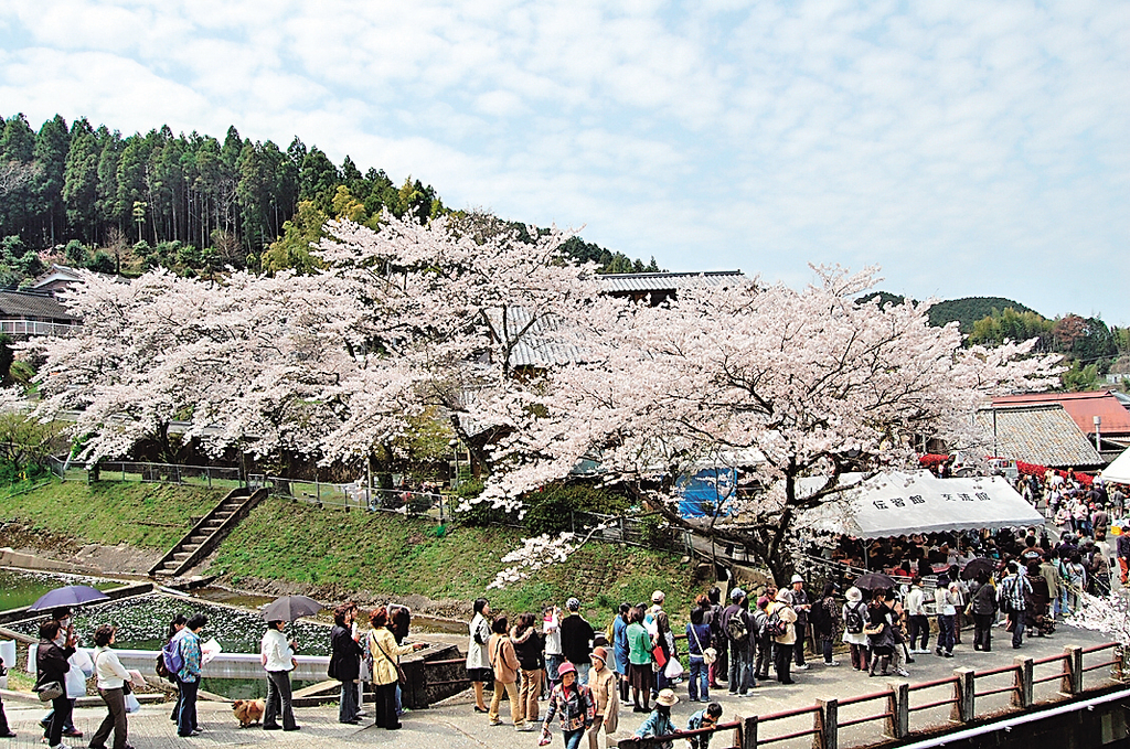 波佐見町 陶郷中尾山 長崎カルチャートリップ Nagasaki Culture Trip 長崎の観光スポットが満載 長崎旅行のお供に