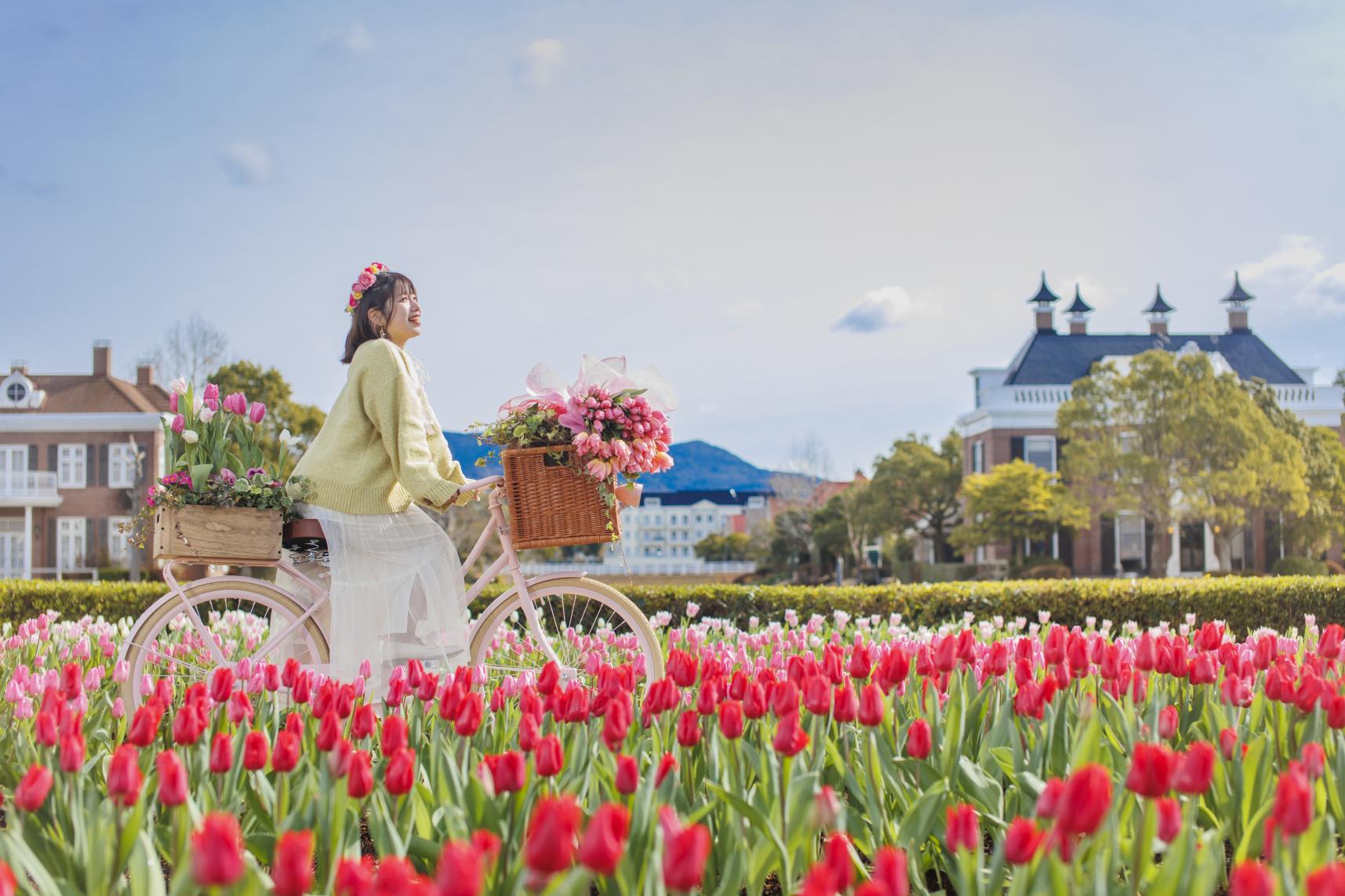 The Huis Ten Bosch Tulip Festival-1