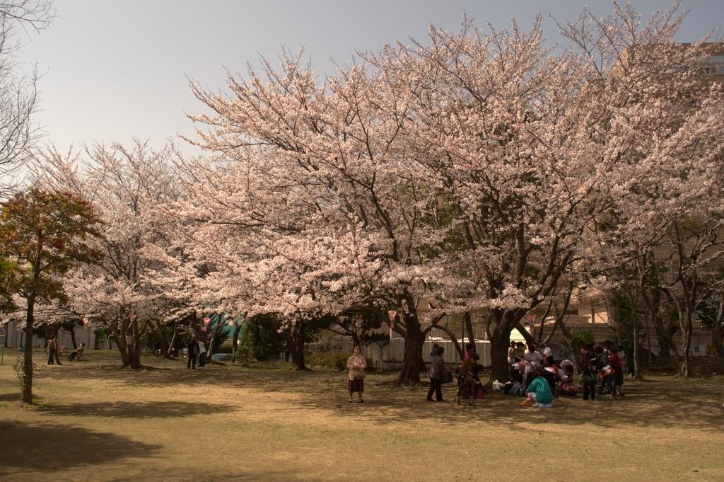 九十九島かき食うカキ祭り 秋の陣 冬の陣 イベント 公式 長崎観光 旅行ポータルサイト ながさき旅ネット