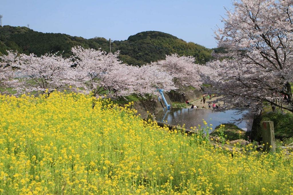 琴海花まつり イベント 公式 長崎観光 旅行ポータルサイト ながさき旅ネット