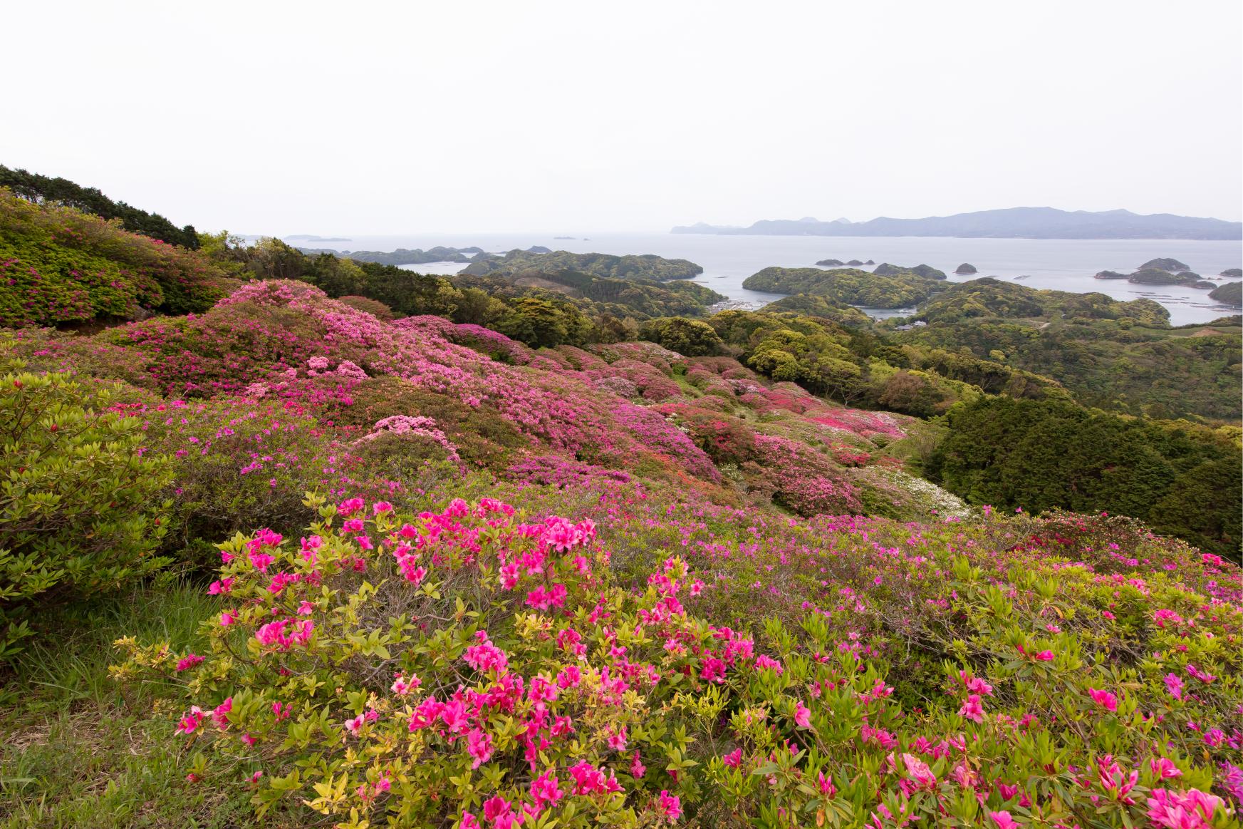 长串山公园-9