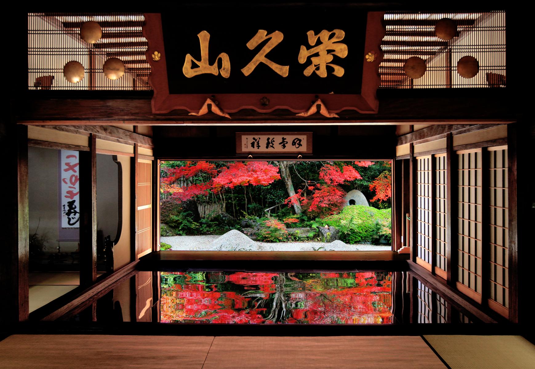 寿福寺「逆さ紅葉」-0