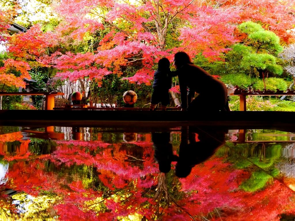 寿福寺 逆さ紅葉 イベント 公式 長崎観光 旅行ポータルサイト ながさき旅ネット