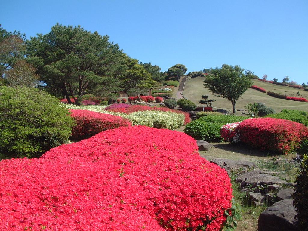 Hiyamizu-dake Park-1