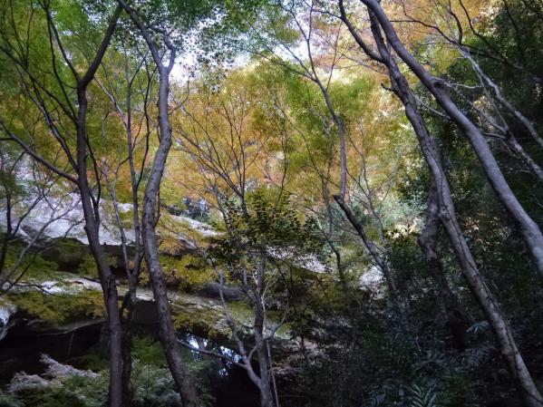 御橋観音　石橋-6