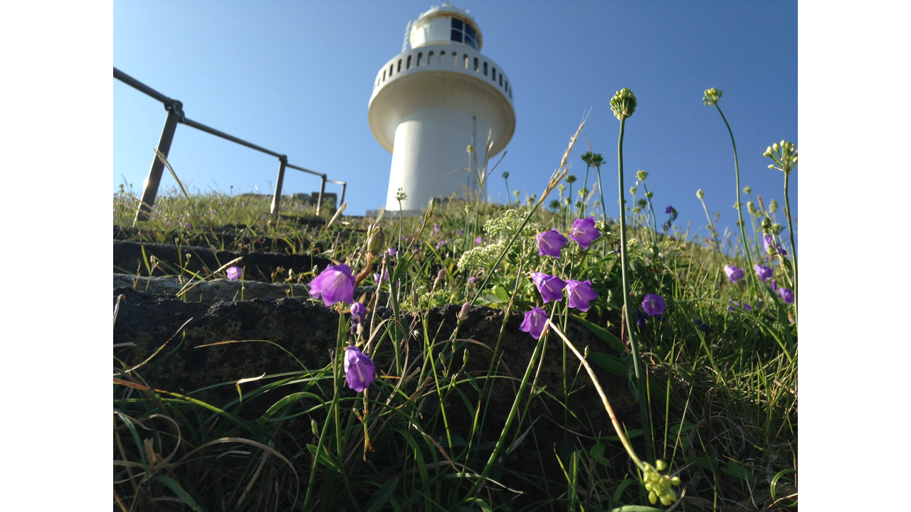 Osezaki Lighthouse-7